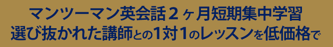 短期集中英会話スクール|ロゼッタストーン・ラーニングセンター選び抜かれた講師との１対１のレッスンを低価格で